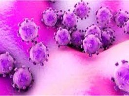 दक्षिण कोरियामा २ हजार ३३७ जनामा कोरोना भाइरस संक्रमण