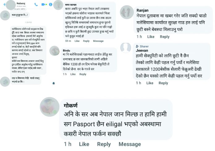 feedback