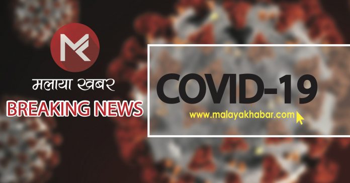 templace for covid