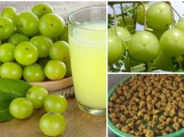 अमलाको उपयोगिताले के – के फाइदा हुन्छ् त ?