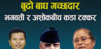 १८ पटक मन्त्री बनेका गच्छदारलाई भगवती र अशोकले टक्कर दिँदै।