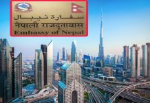 समयमै आफ्नो राहदानीको बहाल अवधि चेक गर्नुस र राहदानी साथमै राख्नुस: नेपाली राजदूतावास युएई।