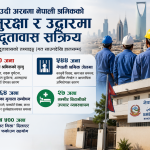साउदी अरबमा नेपाली श्रमिकको सुरक्षा र उद्धारमा दूतावास सक्रिय।