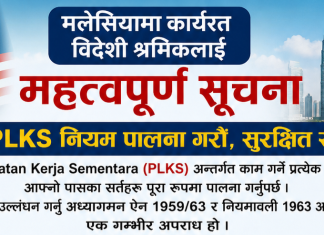 मलेसियामा भिसाको दुरुपयोग गर्ने विदेशी कामदारलाई कडा सजाय दिइने।