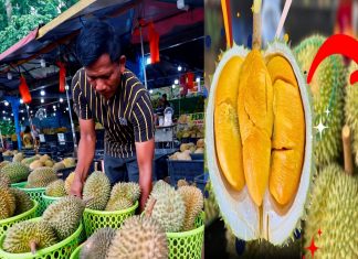 मलेसियामा फलहरुको राजा मानिने डुरियनको मुल्य यस् वर्ष एकदमै धेरै सस्तो।
