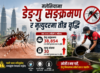 मलेसियामा डेङ्गुको कहर: ६ महिनामै ३८ हजारभन्दा बढी सङ्क्रमित, ३० जनाको मृत्यु।