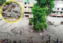 नेपाल पुगेका मलेसियाली स्वयंसेवक भन्छन्: ‘गाउँ नै रहेन, बस्तीको नामोनिशान छैन’