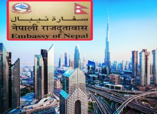 यूएईमा नेपाली श्रमिकले अब कार्यस्थलमै राहदानी पाउने, दूतावास जानै नपर्ने।