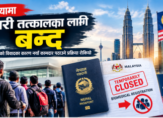 सरकारी कूटनीतिक कमजोरी र म्यानपावर विवादले मलेसिया रोजगारी नयाँका लागि बन्द।